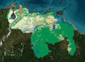 Venezuela ha perdido una extensión de cobertura natural equivalente al tamaño de Delta Amacuro, revelan datos de MapBiomas Venezuela